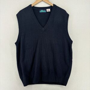 JT TRADITIONS Sweater Vest Mens LT Tall Lambswool V-Neck Pullover Blue HK VTG